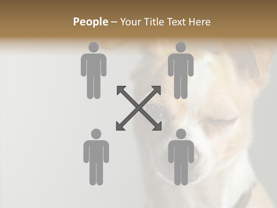 Whiskers Dog Small PowerPoint Template