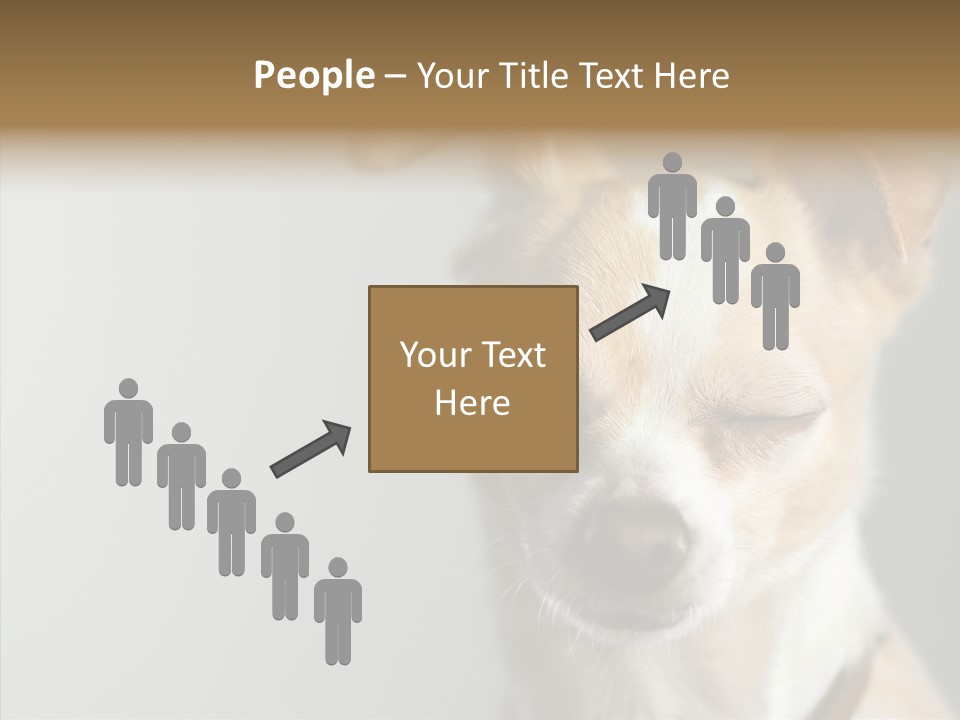 Whiskers Dog Small PowerPoint Template