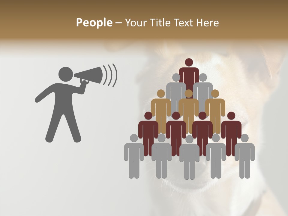 Whiskers Dog Small PowerPoint Template