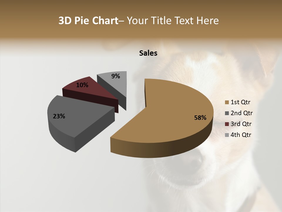 Whiskers Dog Small PowerPoint Template