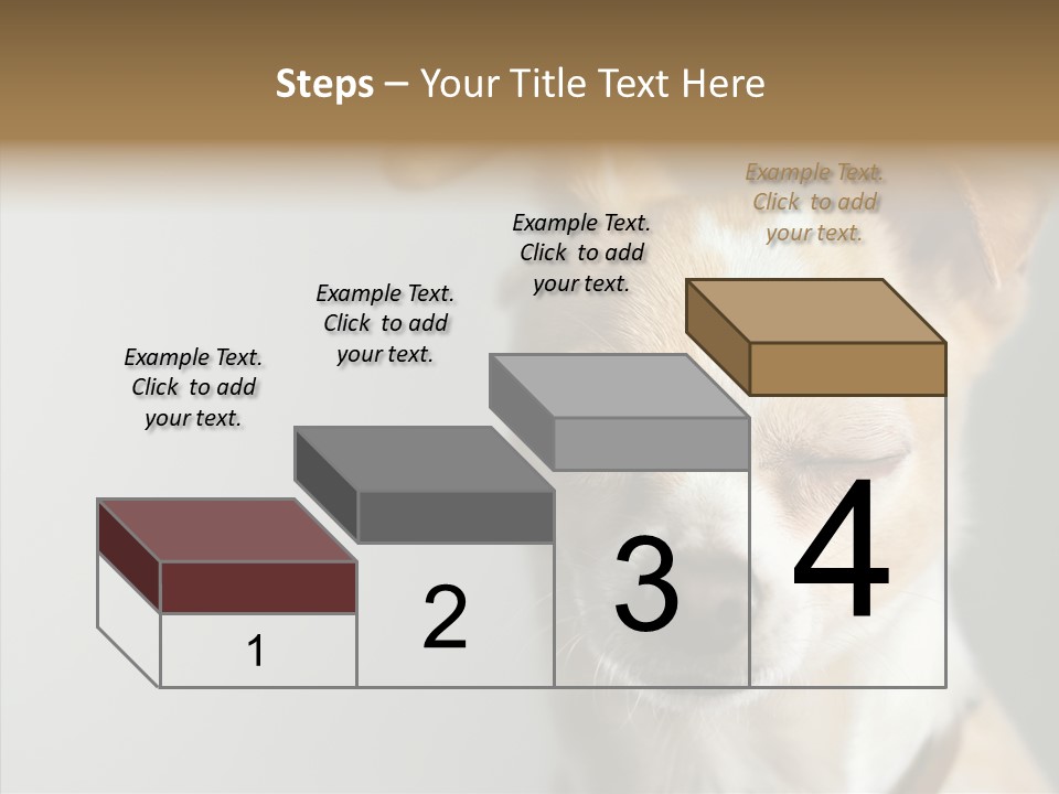 Whiskers Dog Small PowerPoint Template