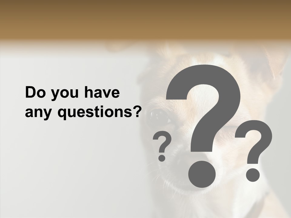 Whiskers Dog Small PowerPoint Template