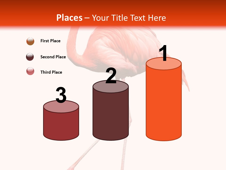 Estuarine Background Summer PowerPoint Template