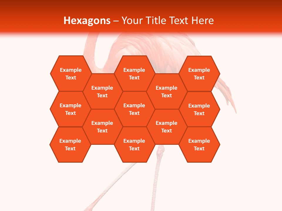 Estuarine Background Summer PowerPoint Template