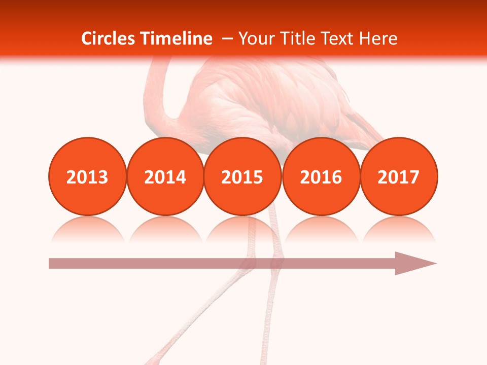 Estuarine Background Summer PowerPoint Template