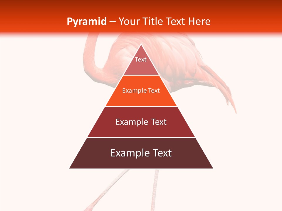 Estuarine Background Summer PowerPoint Template