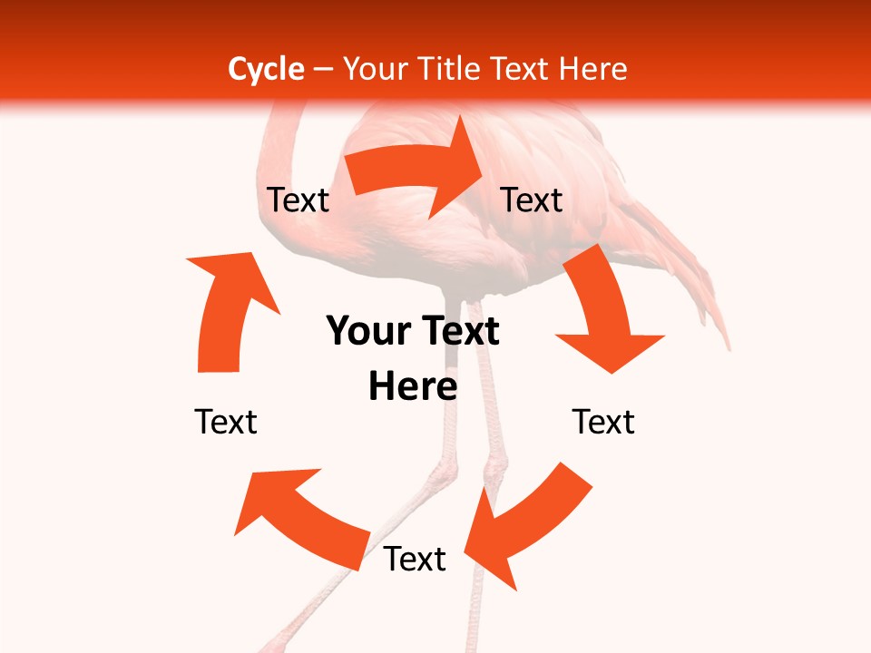 Estuarine Background Summer PowerPoint Template