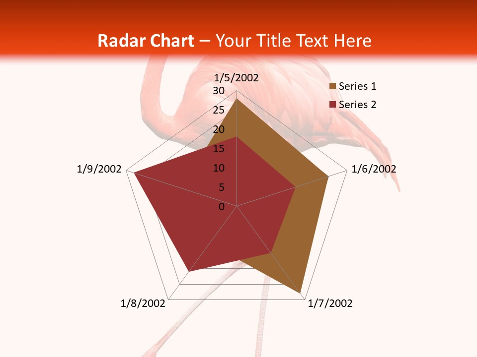 Estuarine Background Summer PowerPoint Template
