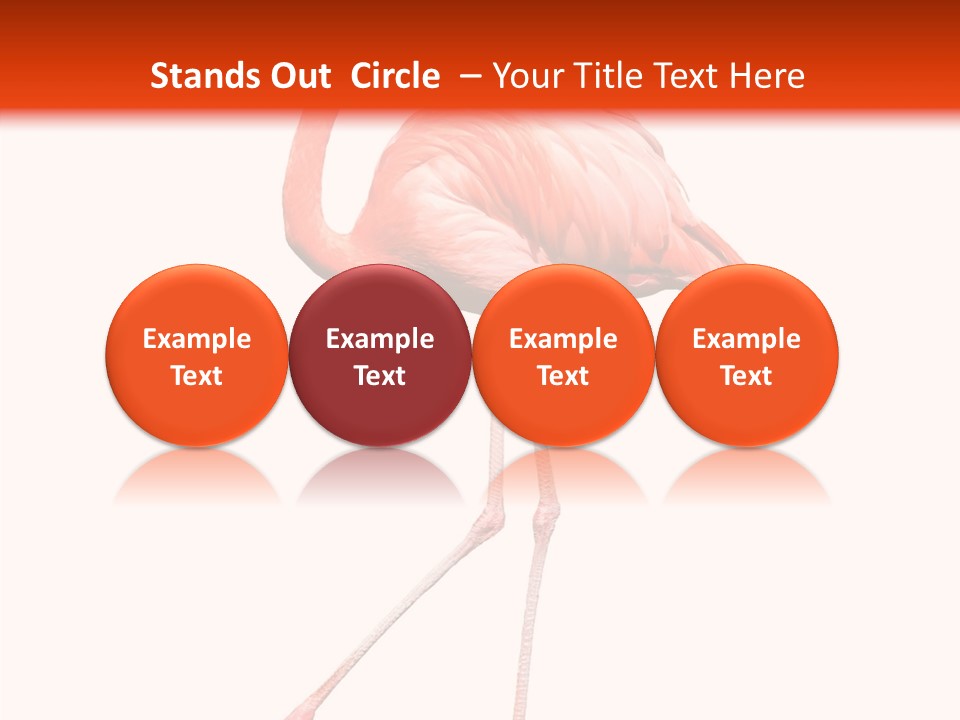 Estuarine Background Summer PowerPoint Template