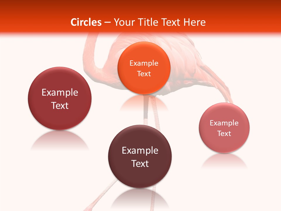 Estuarine Background Summer PowerPoint Template