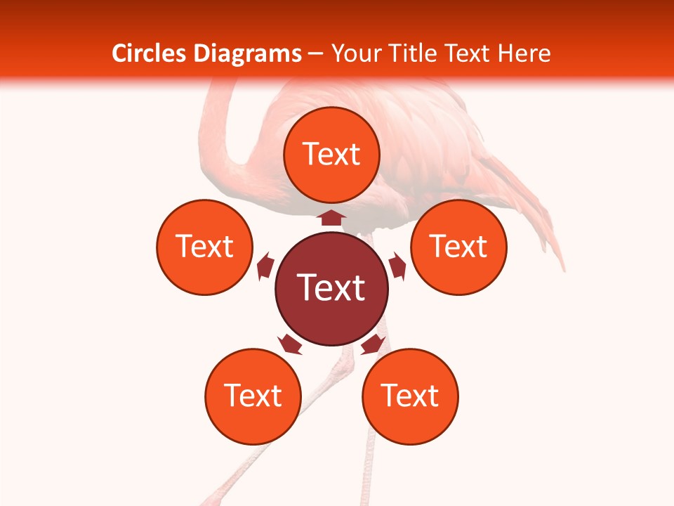 Estuarine Background Summer PowerPoint Template