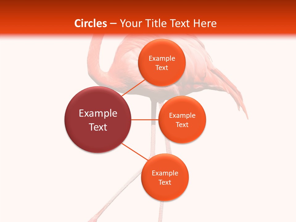 Estuarine Background Summer PowerPoint Template