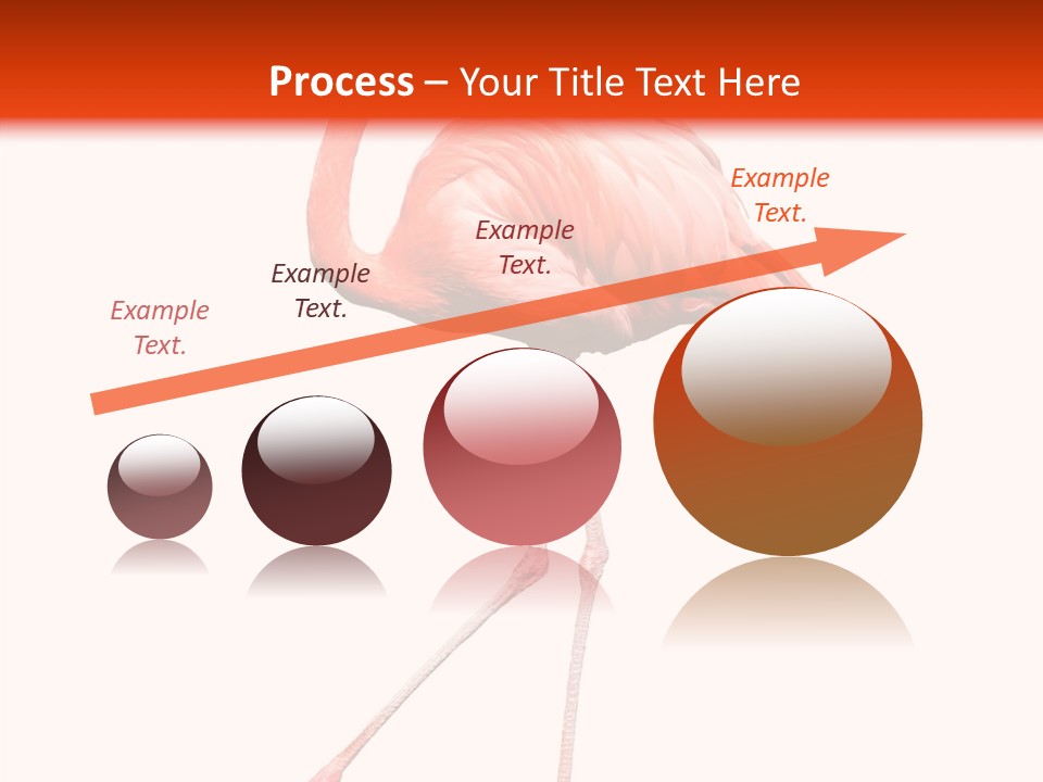 Estuarine Background Summer PowerPoint Template