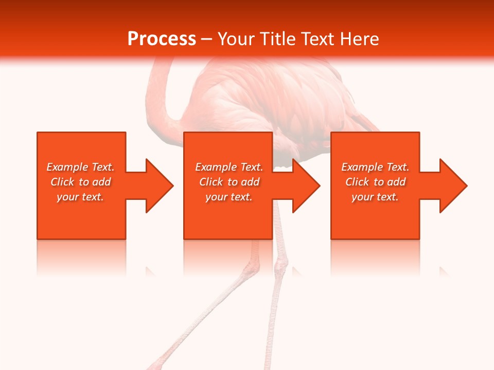 Estuarine Background Summer PowerPoint Template