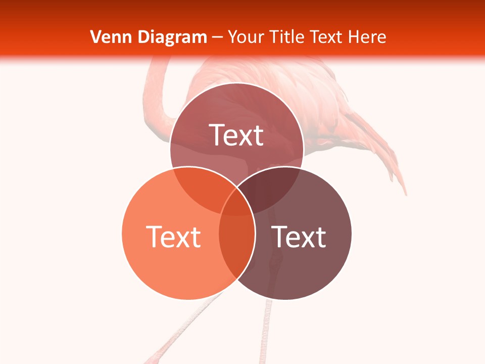 Estuarine Background Summer PowerPoint Template