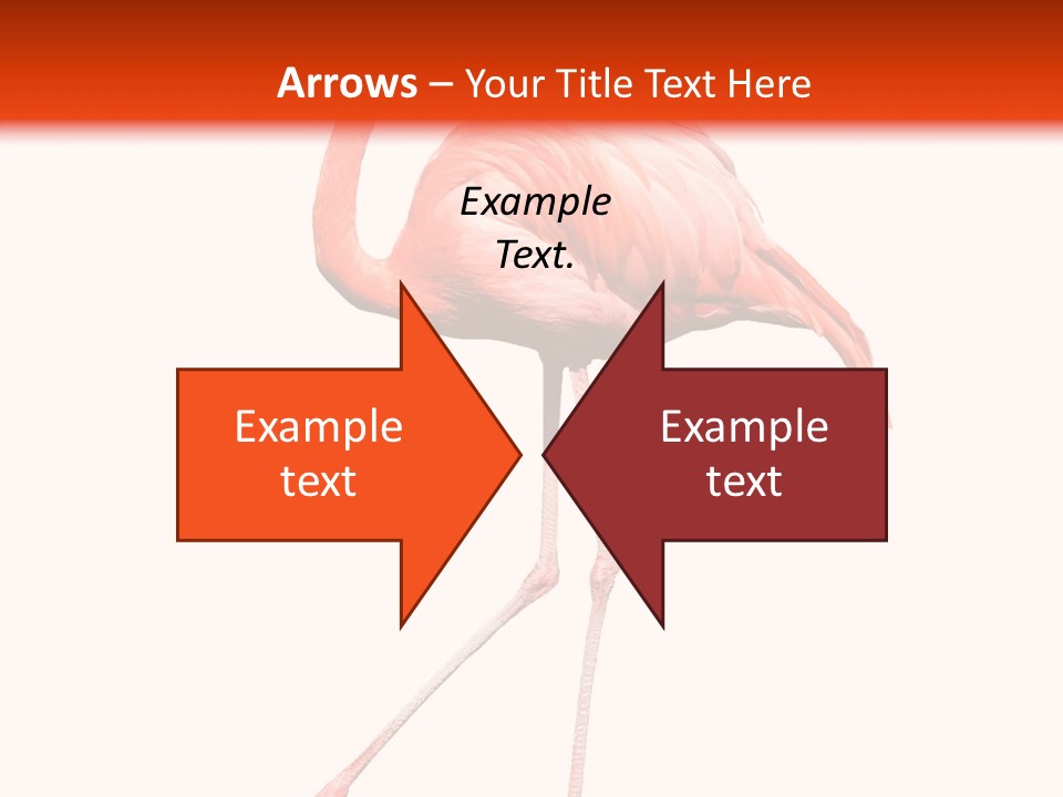 Estuarine Background Summer PowerPoint Template