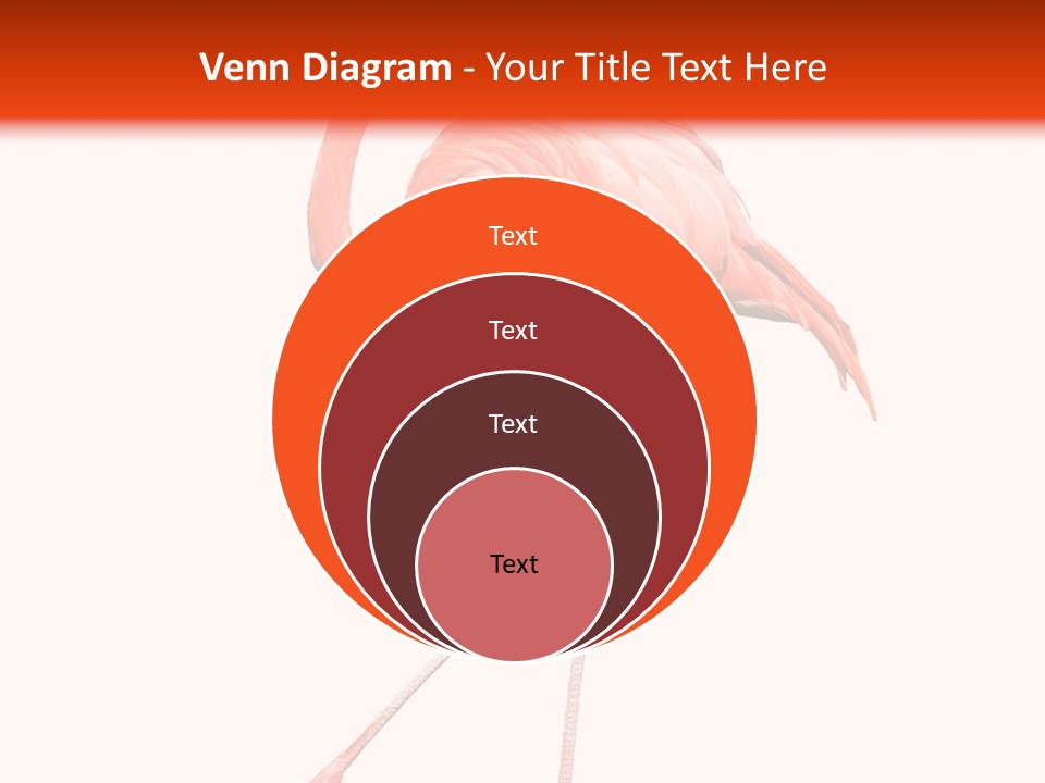 Estuarine Background Summer PowerPoint Template