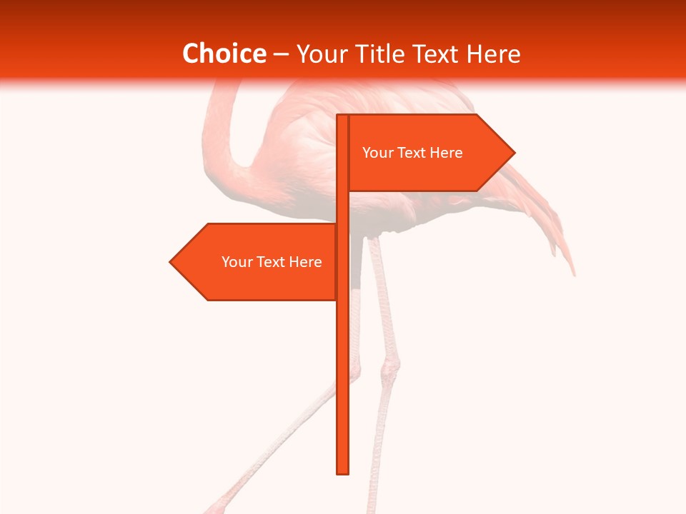 Estuarine Background Summer PowerPoint Template