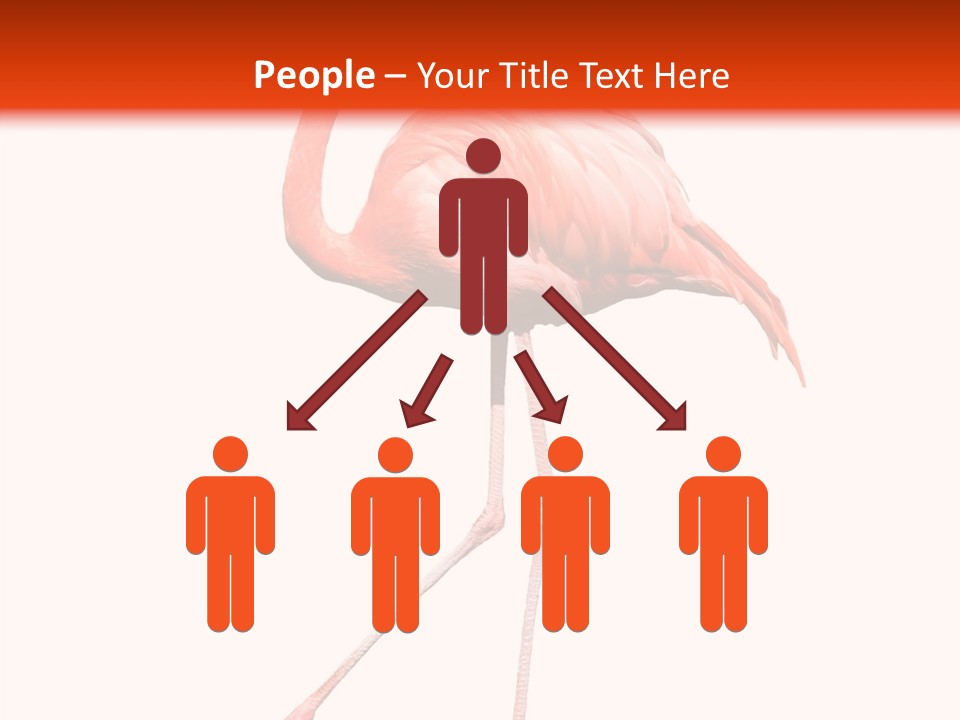 Estuarine Background Summer PowerPoint Template