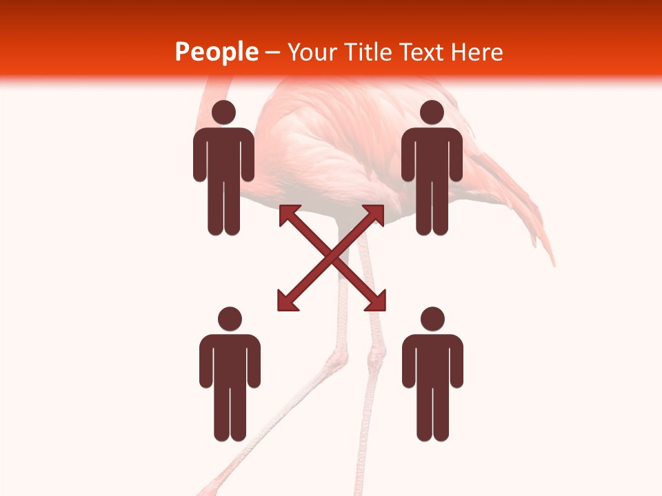 Estuarine Background Summer PowerPoint Template