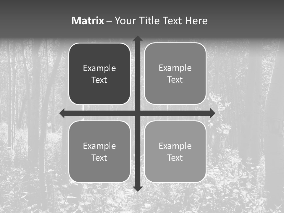 Scenery Grove Sunlit PowerPoint Template