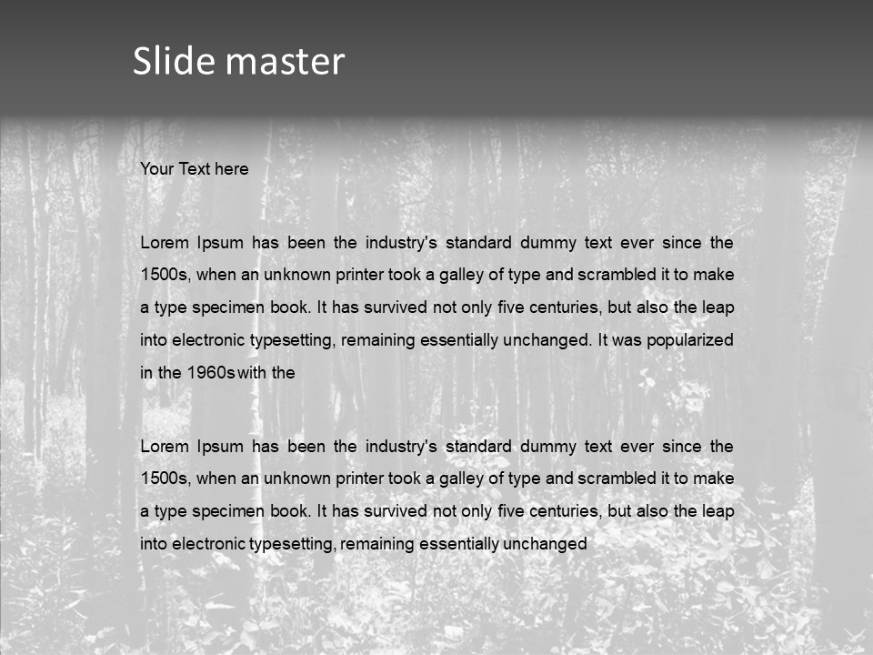 Scenery Grove Sunlit PowerPoint Template