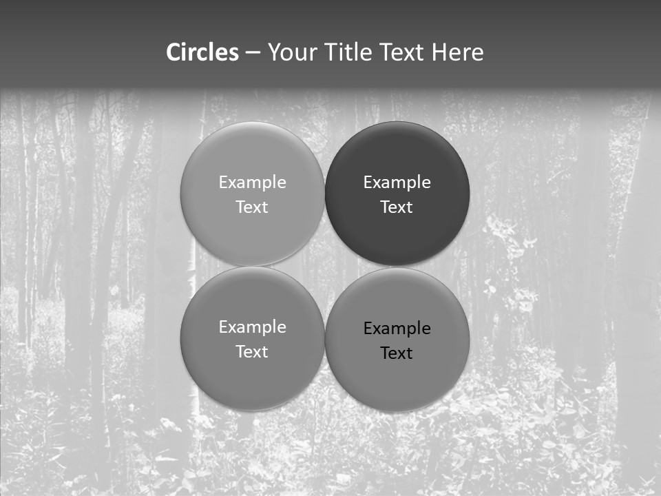 Scenery Grove Sunlit PowerPoint Template