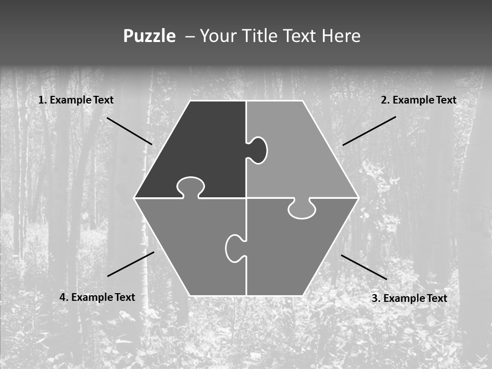 Scenery Grove Sunlit PowerPoint Template