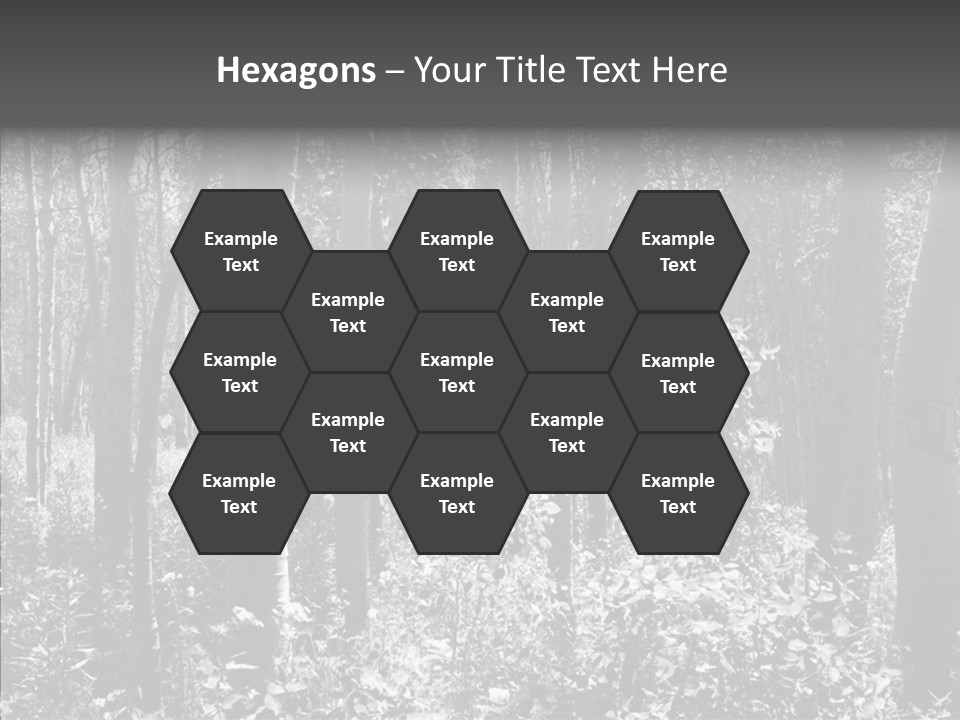 Scenery Grove Sunlit PowerPoint Template