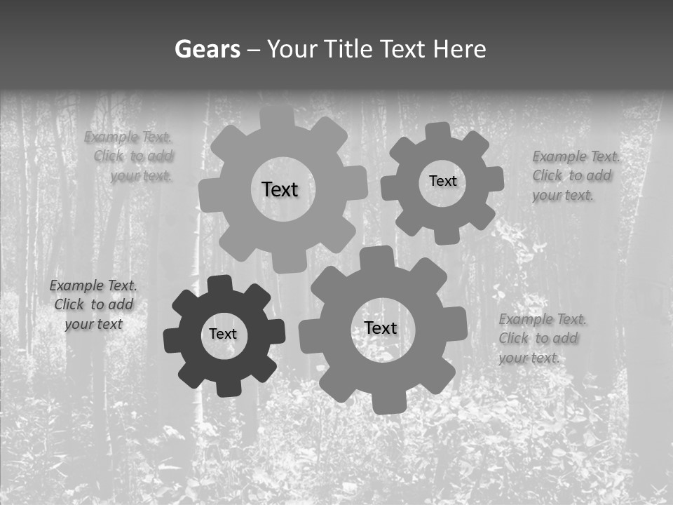 Scenery Grove Sunlit PowerPoint Template