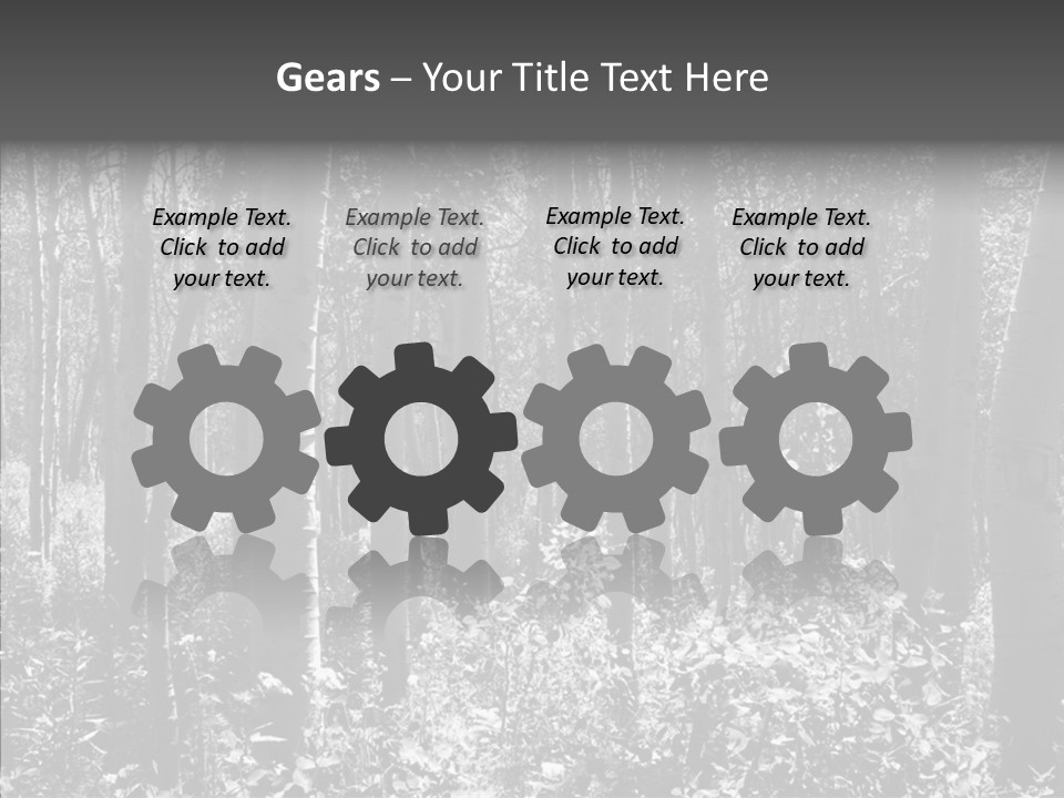 Scenery Grove Sunlit PowerPoint Template