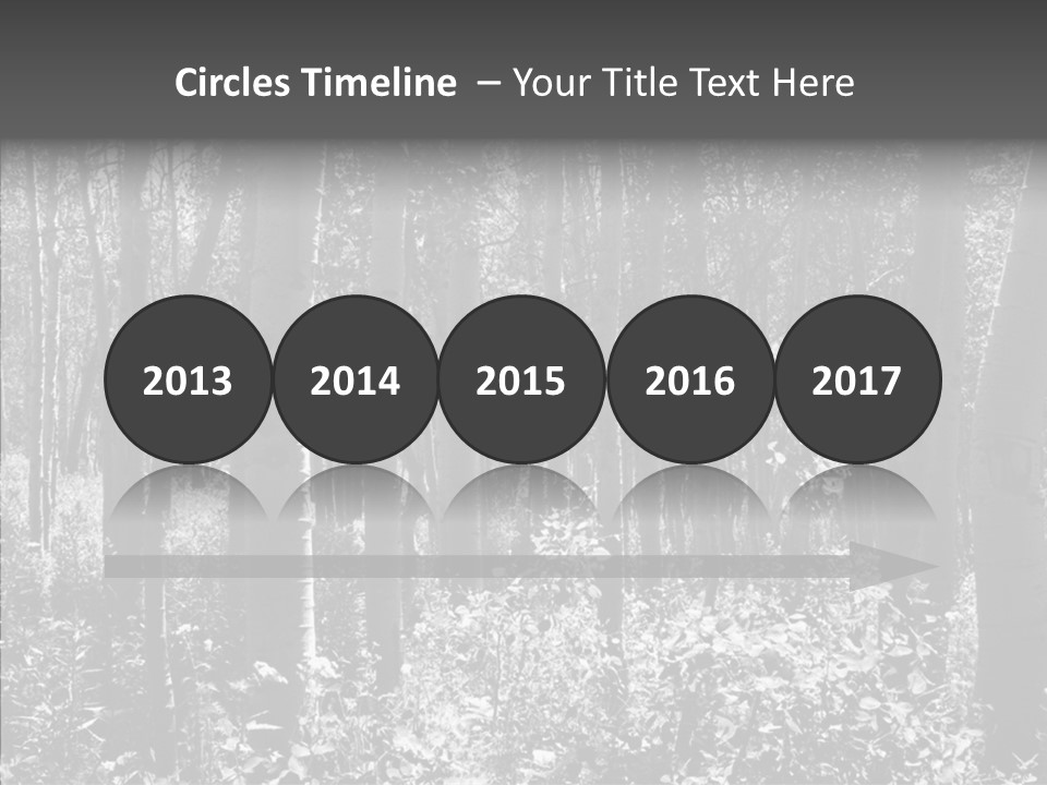 Scenery Grove Sunlit PowerPoint Template