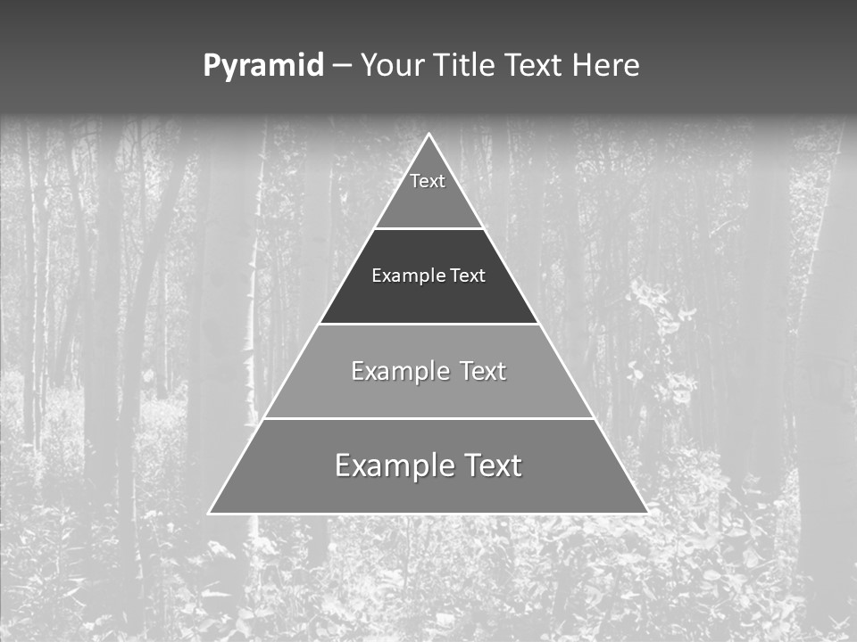 Scenery Grove Sunlit PowerPoint Template