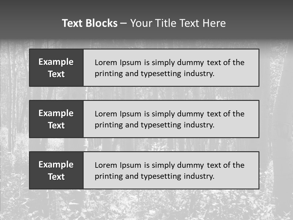 Scenery Grove Sunlit PowerPoint Template