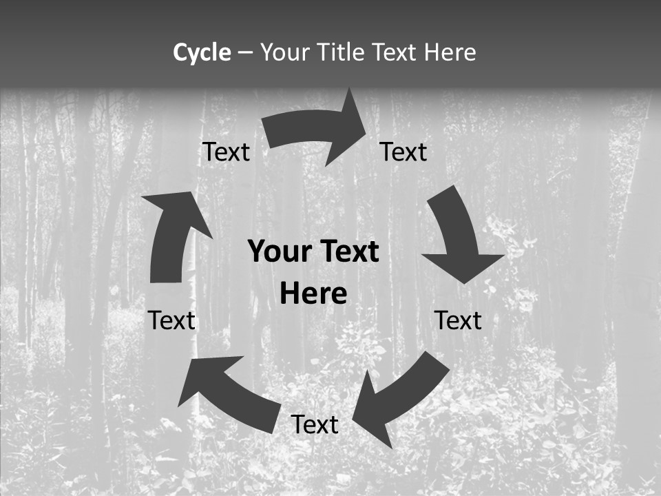 Scenery Grove Sunlit PowerPoint Template