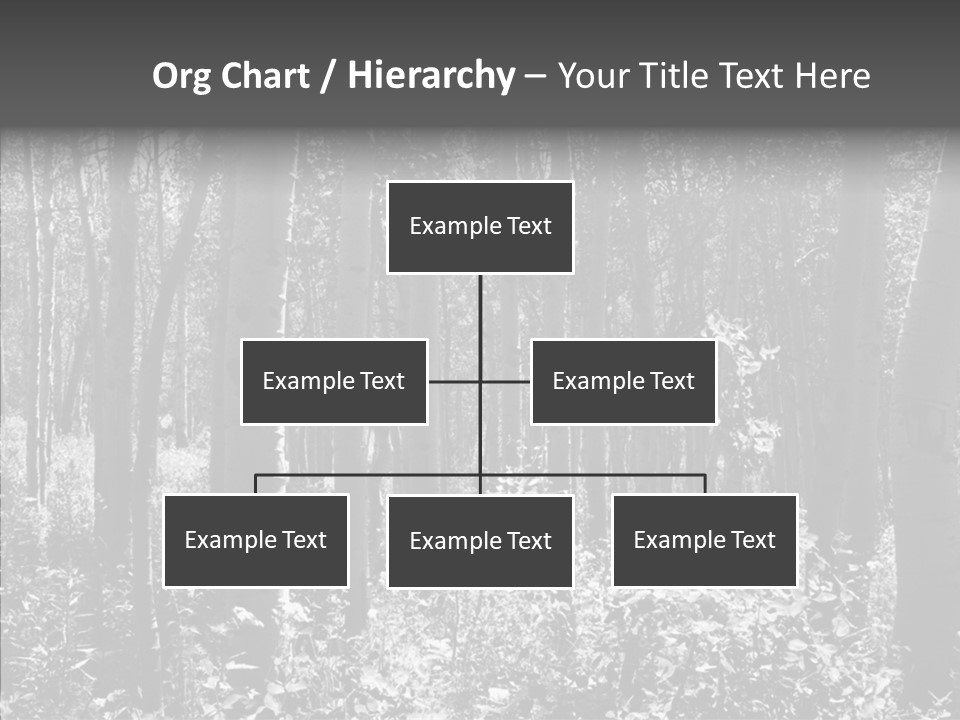 Scenery Grove Sunlit PowerPoint Template
