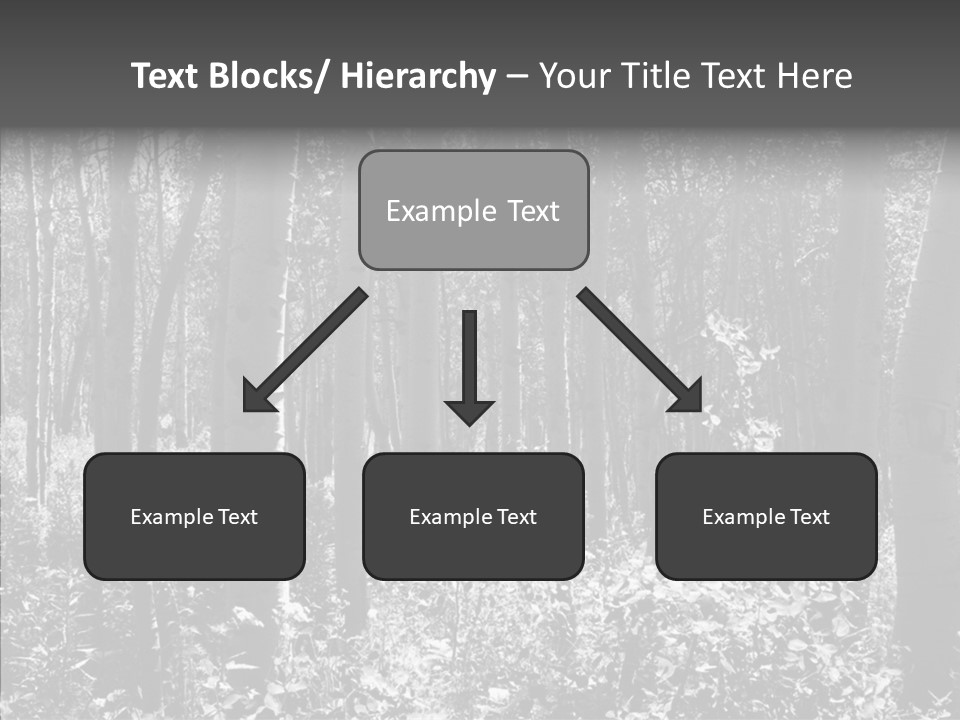 Scenery Grove Sunlit PowerPoint Template