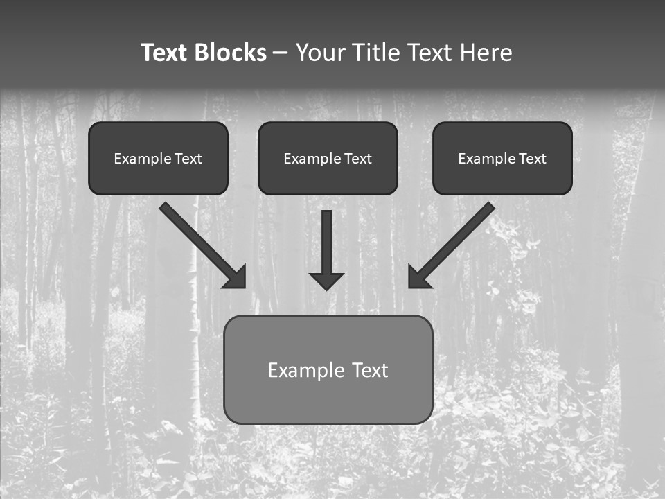 Scenery Grove Sunlit PowerPoint Template