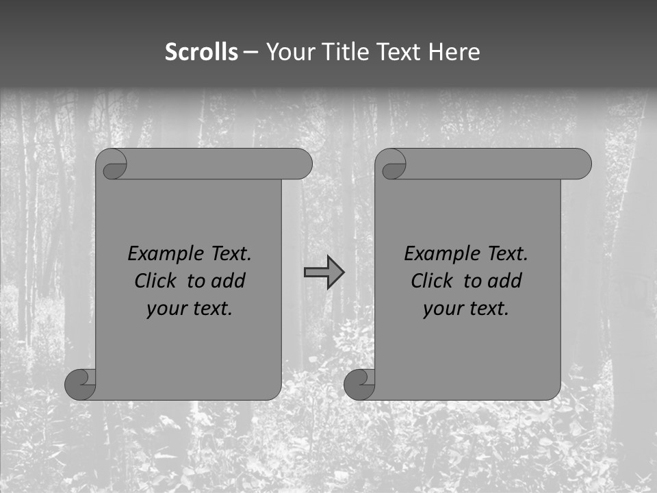Scenery Grove Sunlit PowerPoint Template