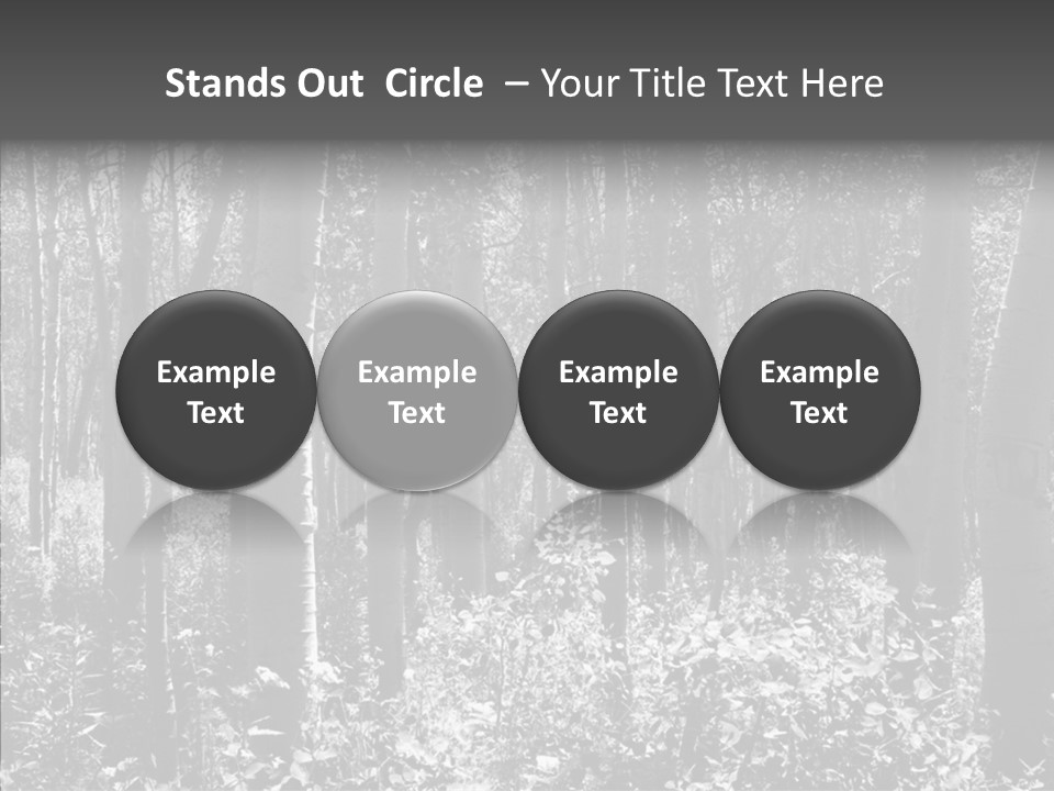 Scenery Grove Sunlit PowerPoint Template