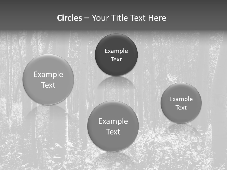 Scenery Grove Sunlit PowerPoint Template