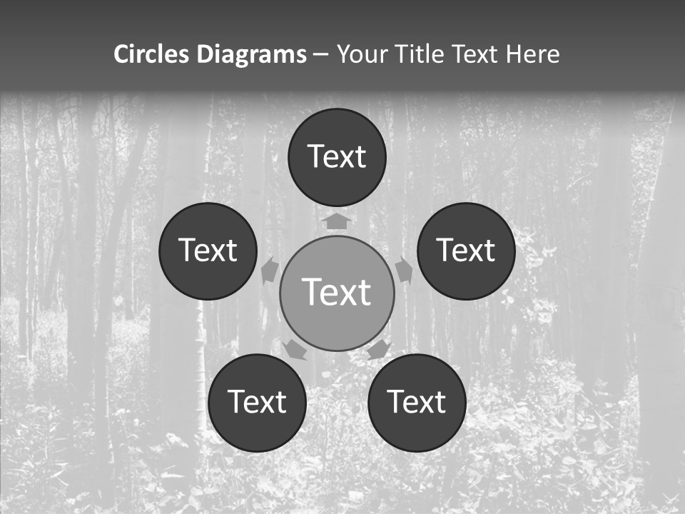 Scenery Grove Sunlit PowerPoint Template