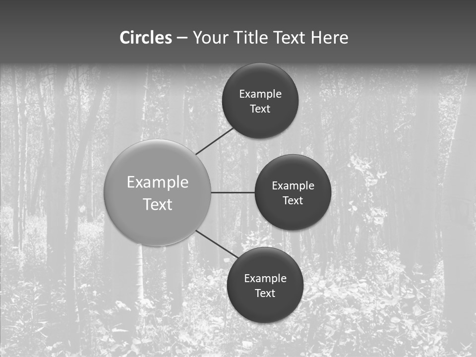 Scenery Grove Sunlit PowerPoint Template