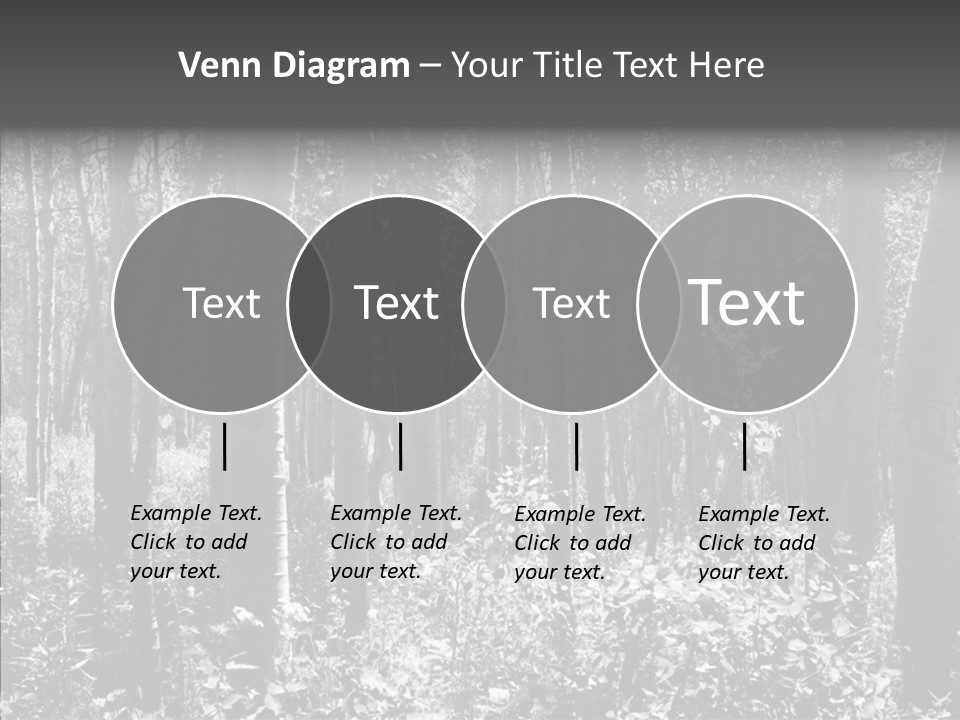 Scenery Grove Sunlit PowerPoint Template