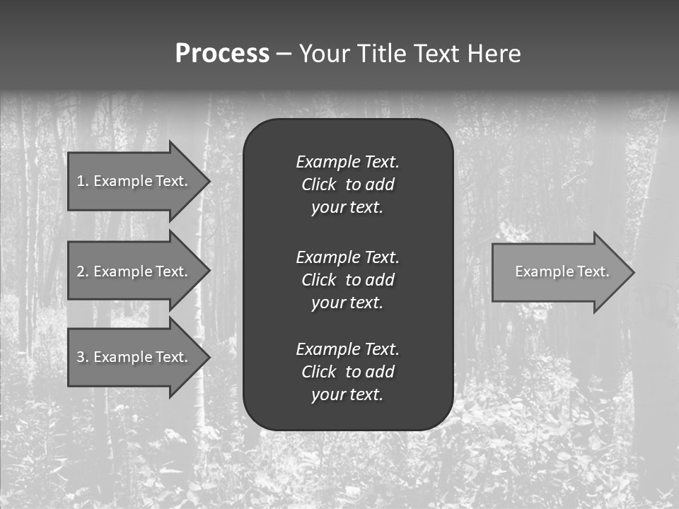 Scenery Grove Sunlit PowerPoint Template