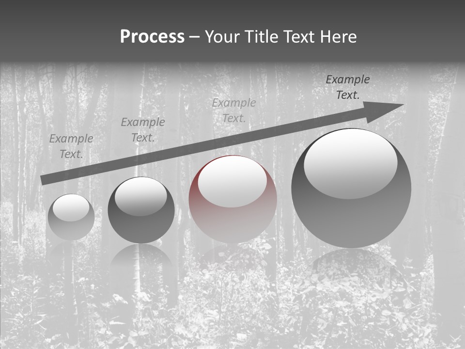 Scenery Grove Sunlit PowerPoint Template