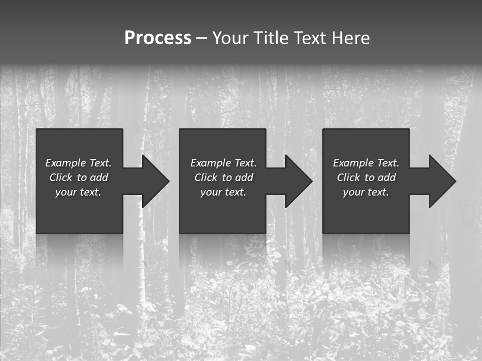 Scenery Grove Sunlit PowerPoint Template