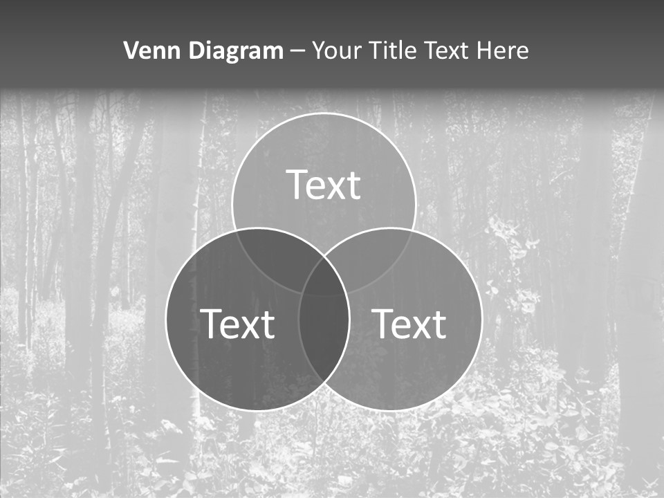 Scenery Grove Sunlit PowerPoint Template