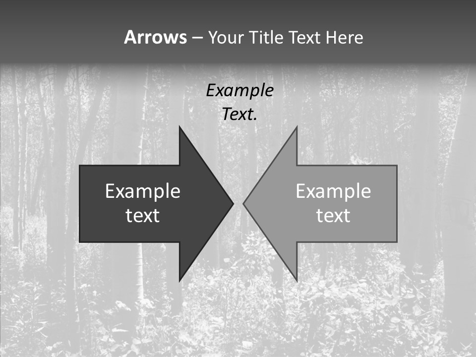 Scenery Grove Sunlit PowerPoint Template