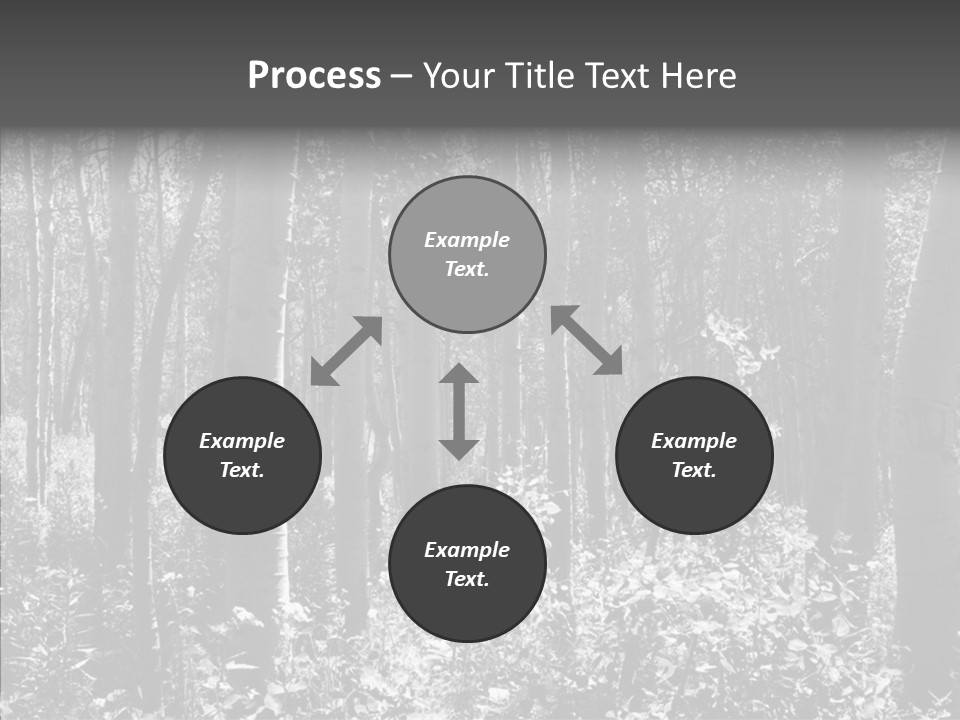Scenery Grove Sunlit PowerPoint Template